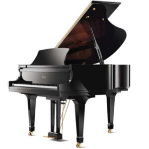 piano essex6