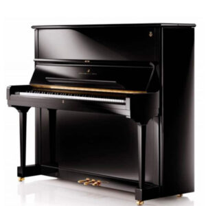 piano steinay1