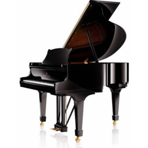piano steinay2