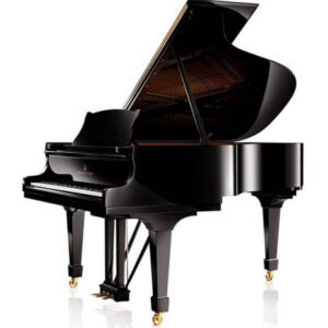 piano steinay5
