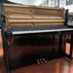 01 modelo 120 3