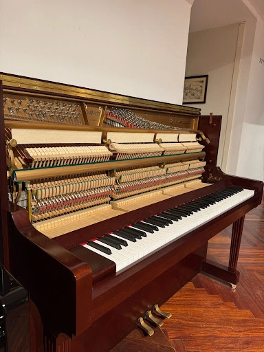 mejores pianos para principiantes