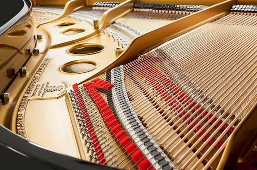 24146c56 33a2 44e8 a089 d04b287db827 (1)